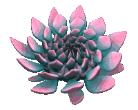 Fiore GIF