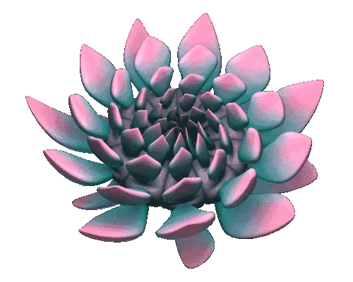 Fiore animato